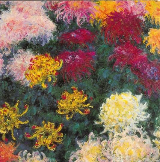 زهور الأقحوان - Chrysanthemums - مقهى جرير الثقافي